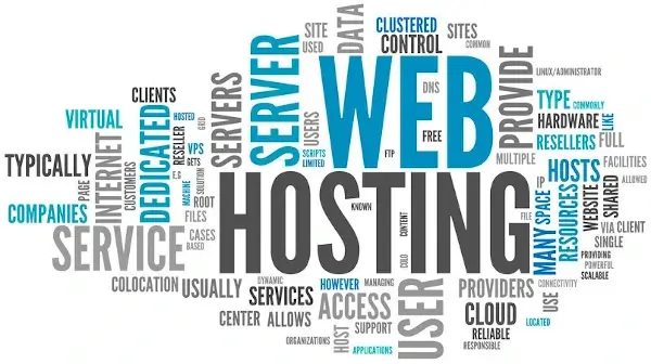 Website Hosting Explained: The Backbone of Every Great Website